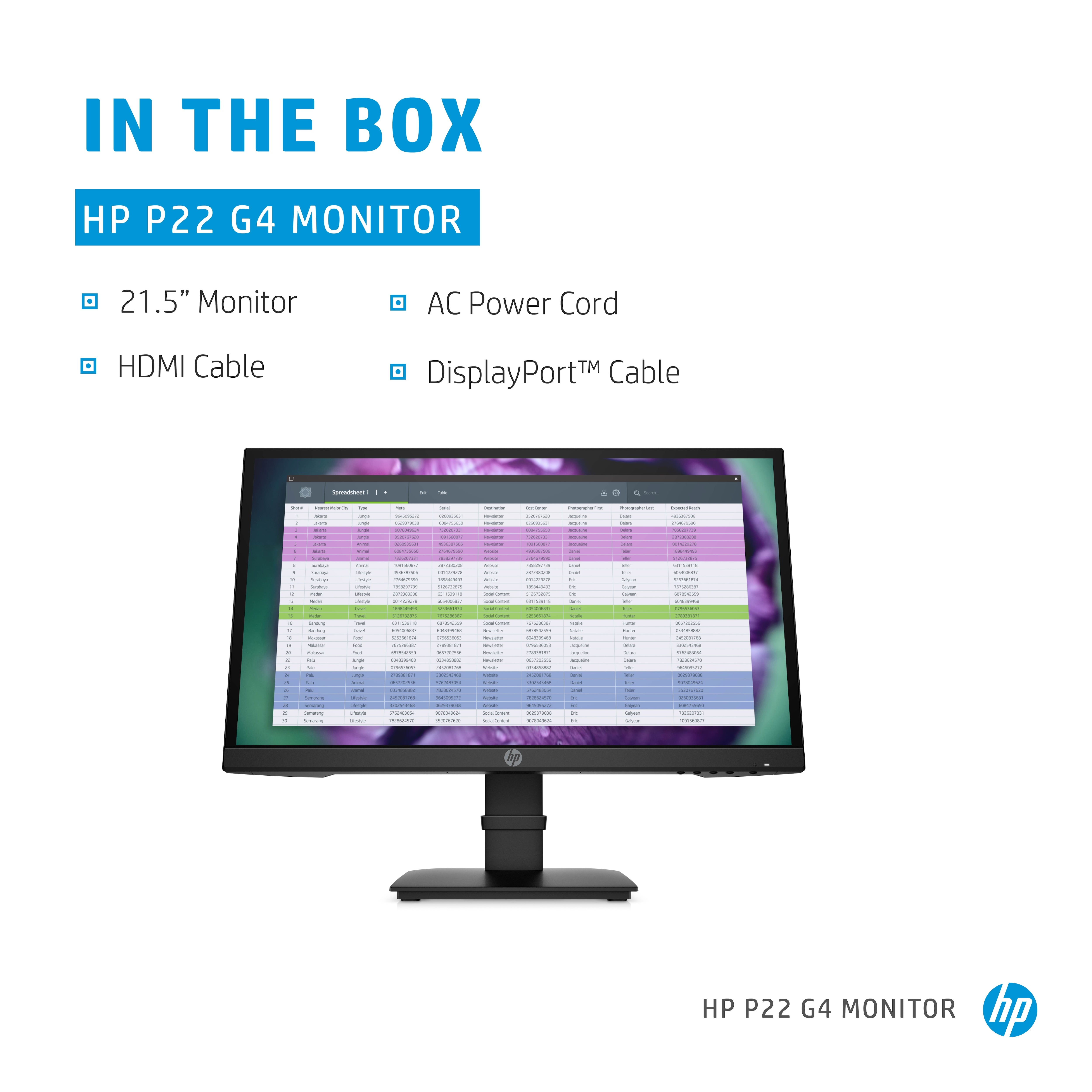 Moniteur HP P22 G4 22 FHD